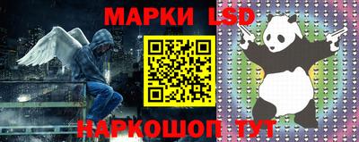 стаф Кингисепп