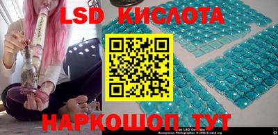 стаф Кингисепп