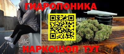 стаф Кингисепп