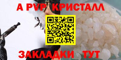 стаф Кингисепп