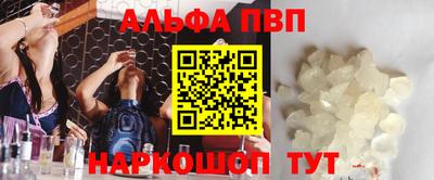 стаф Кингисепп