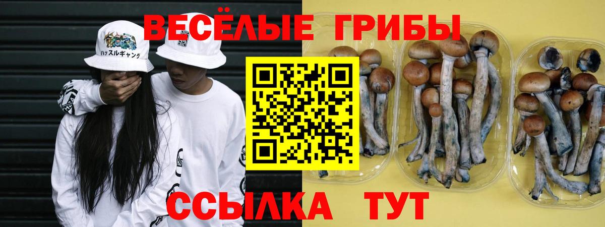 Псилоцибиновые грибы MAGIC MUSHROOMS  наркошоп  Галлюциногенные грибы ЛСД  Ишимбай  Вход с VPN 